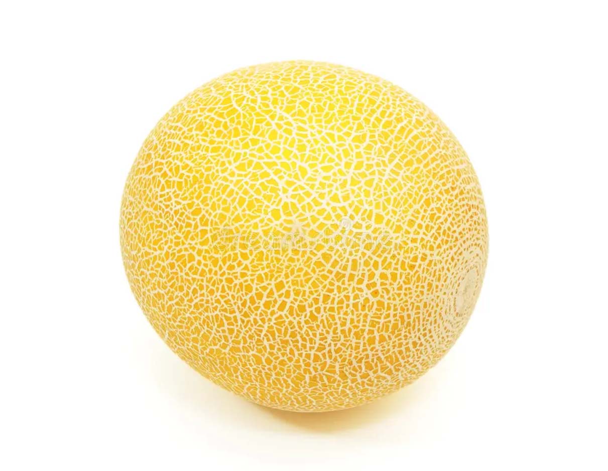 Organic Galia Melon