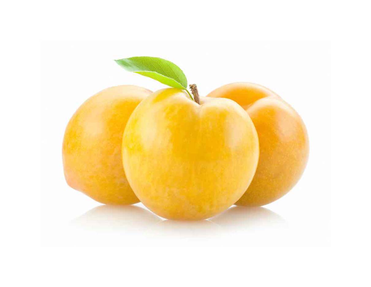 برقوق أصفر عضوي
