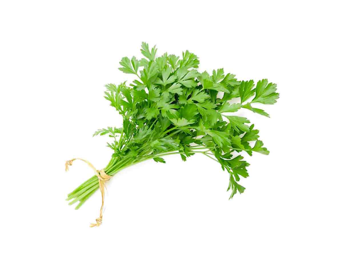 Organic Flat Parsley Bunch, France