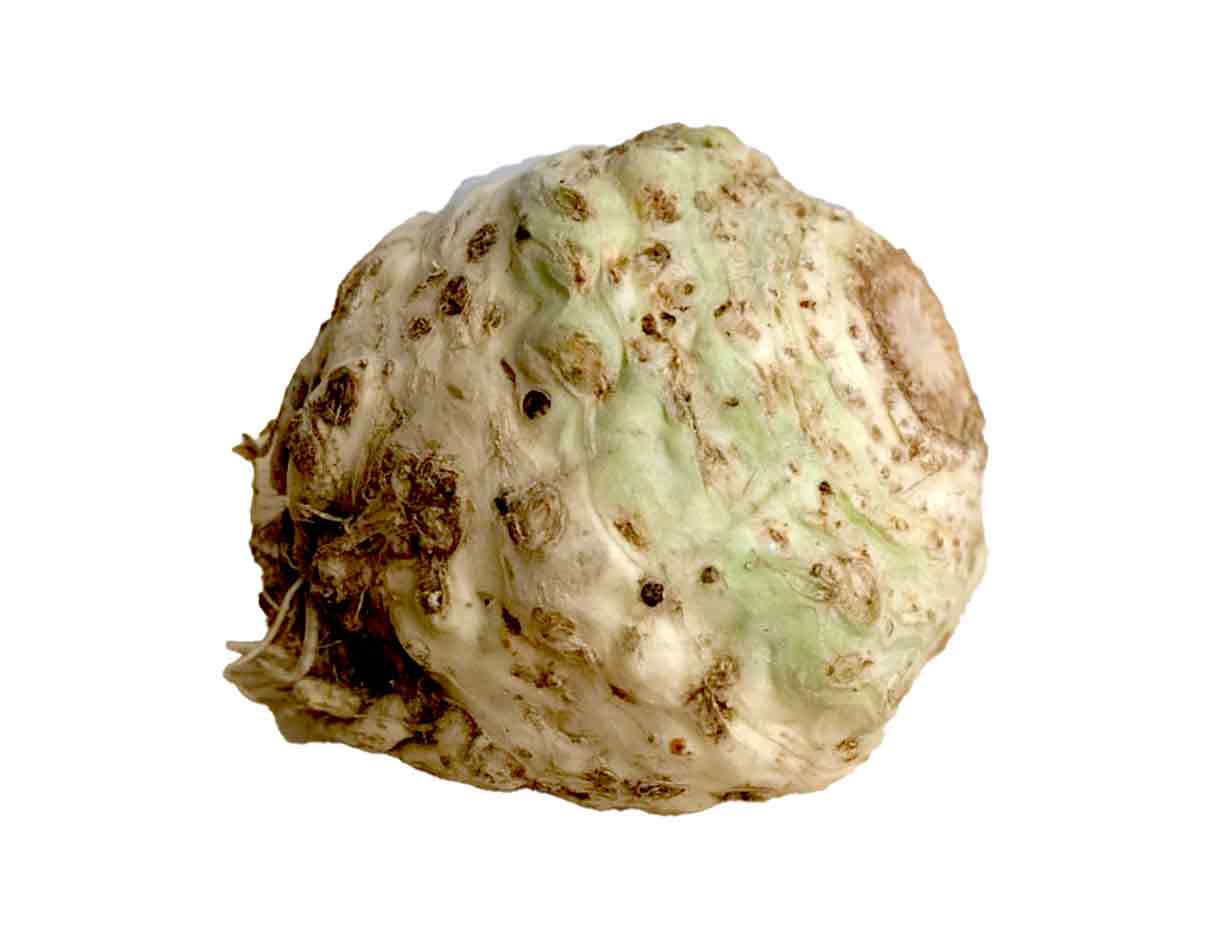 الكرفس العضوي