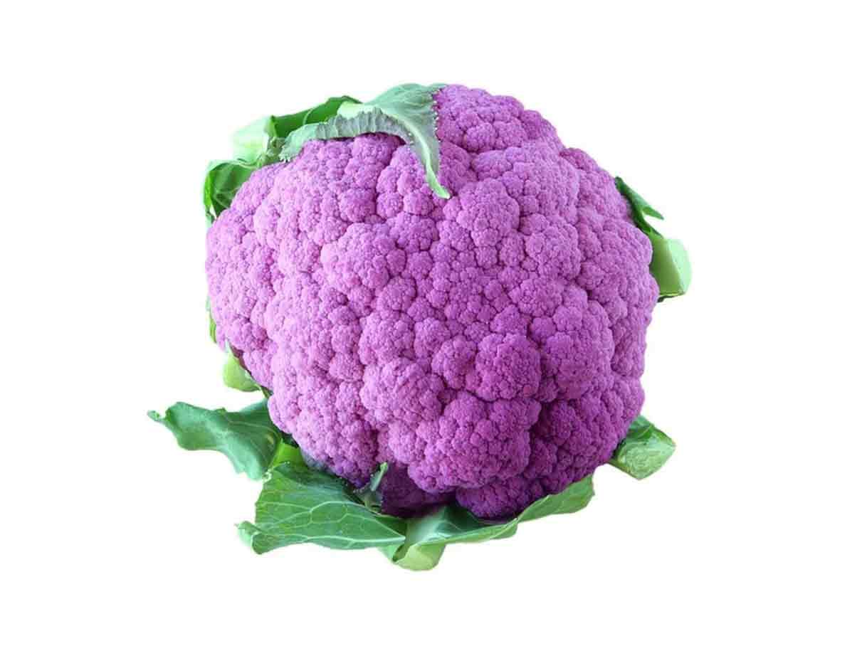 القرنبيط العضوي الأرجواني