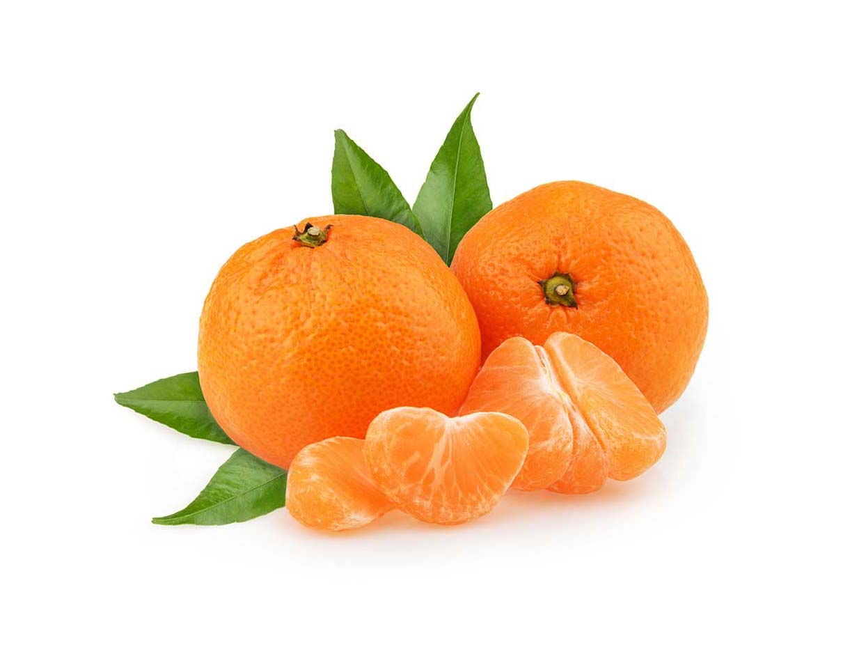 كليمنتين كليمنروبي عضوي, إسبانيا