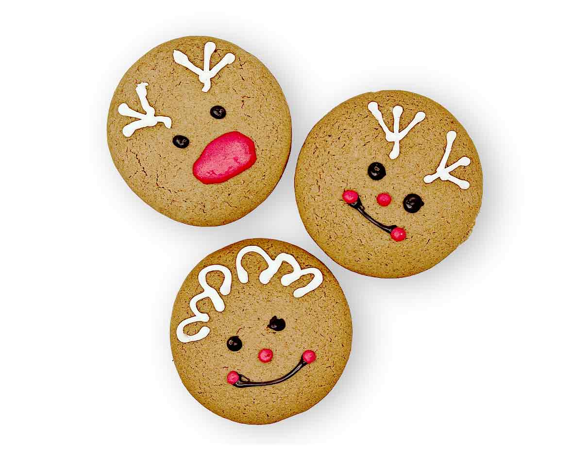OFC Organic Christmas Gingerbread Cookies 3pcs