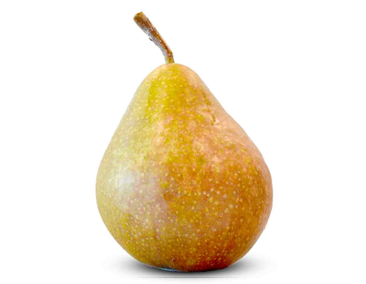 Organic Gieser Wildeman Pears