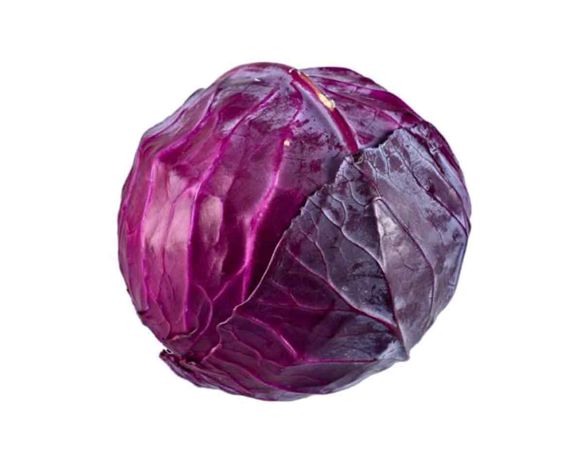 Organic Cabbage Red
