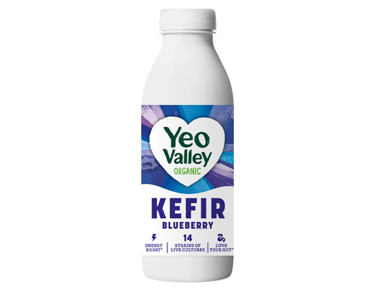 Organic Kefir Blueberry 