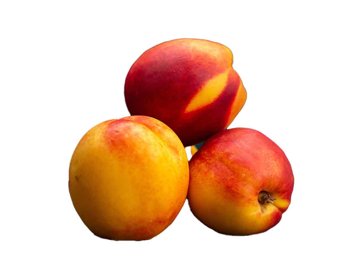 Organic Nectarine