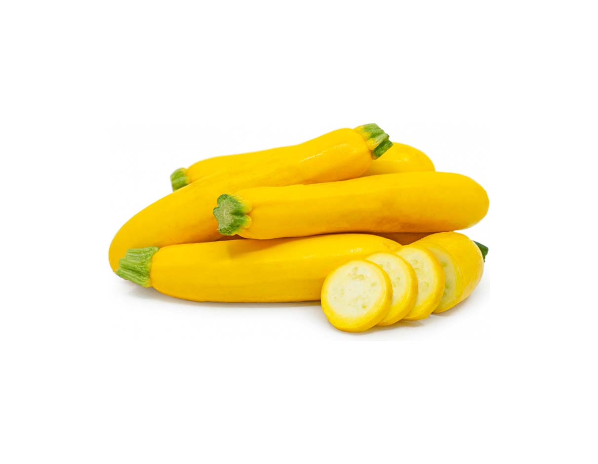 Organic Yellow Zucchini, India