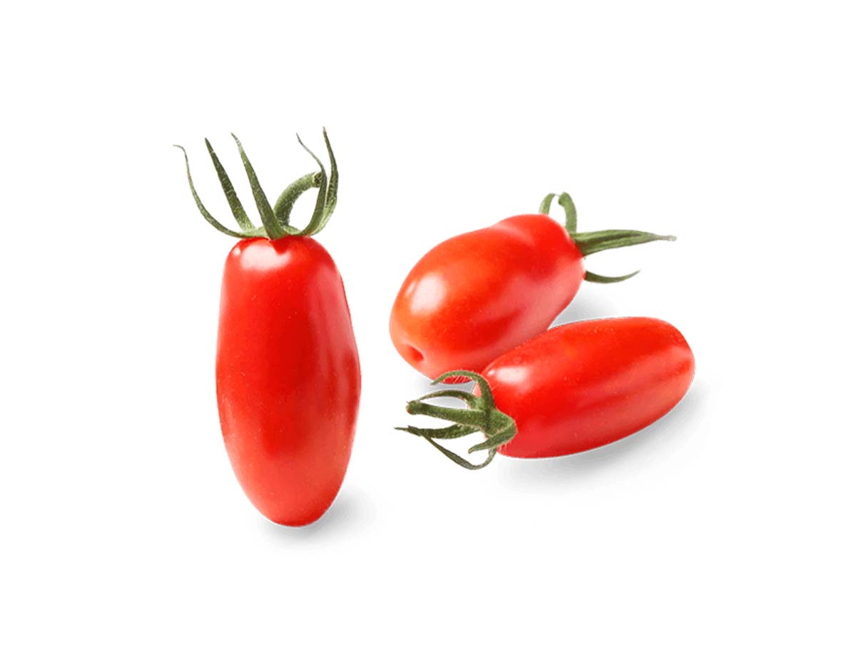 Organic Tomato Mini San Marzano, The Netherland
