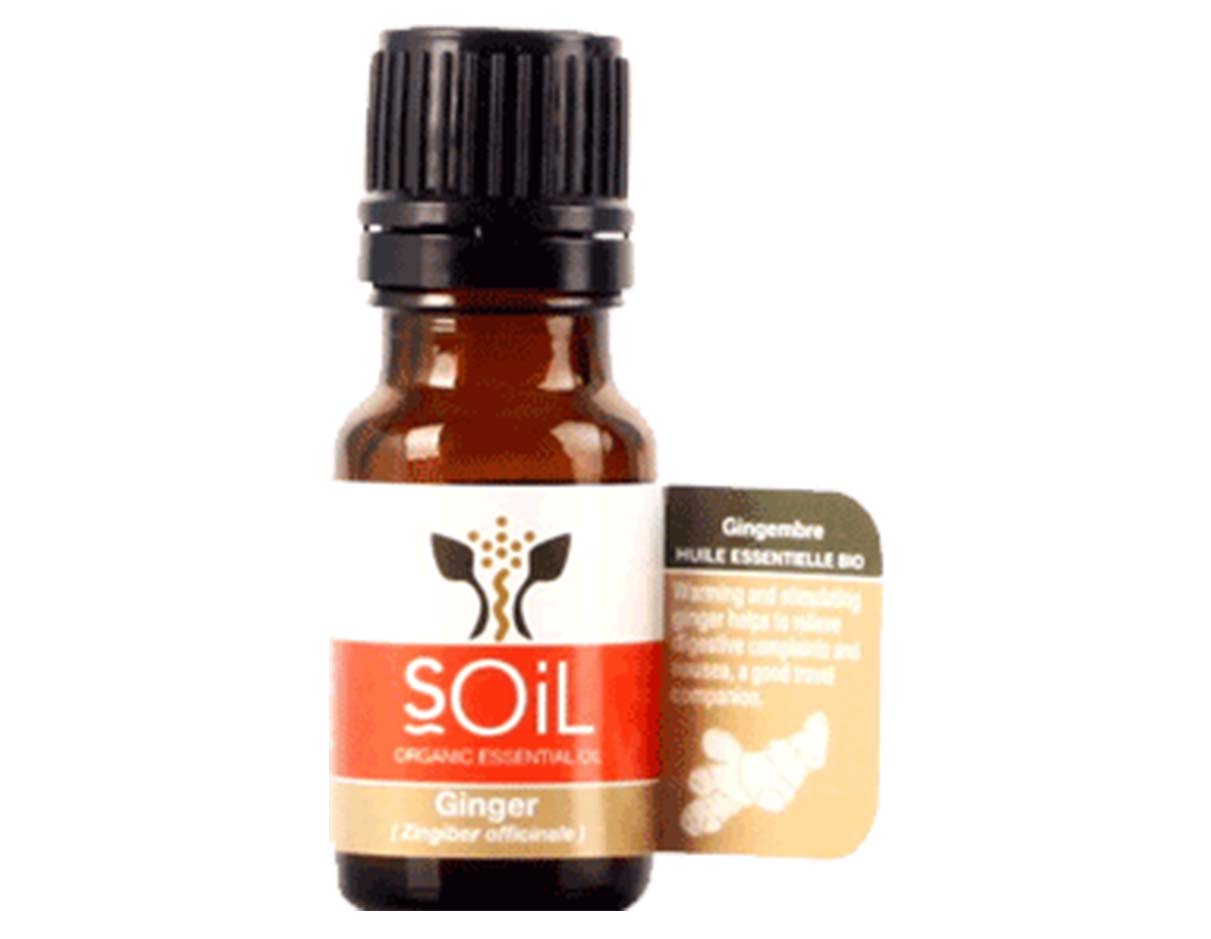 Organic Ginger Essential Oil