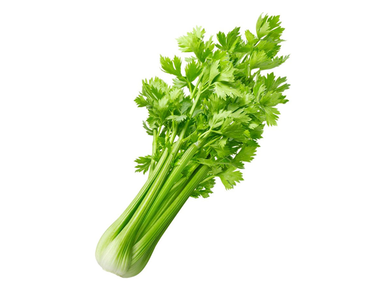 Organic Celery