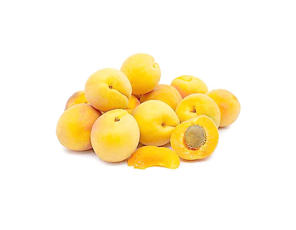 Organic Apricot Farlis