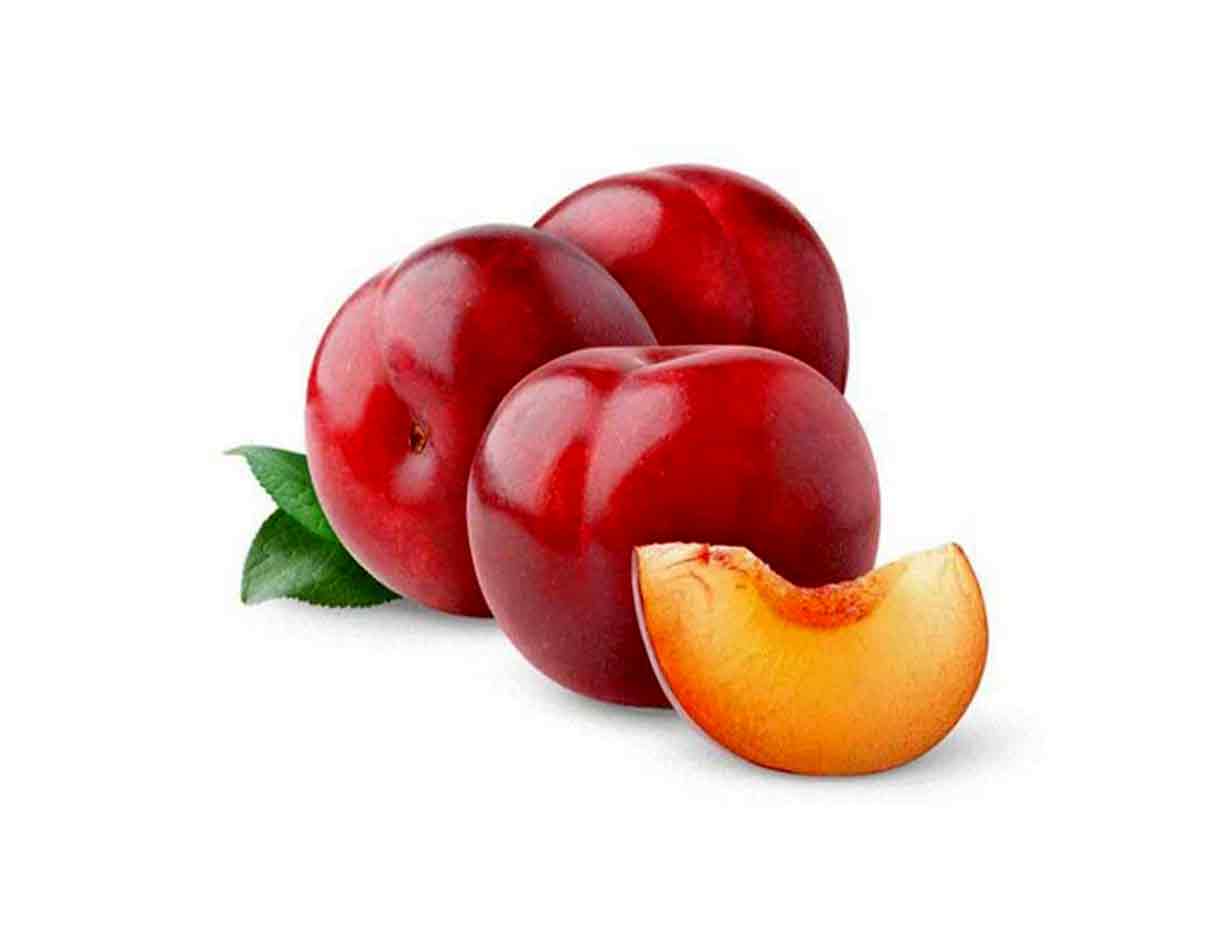 Organic Plum Angeleno