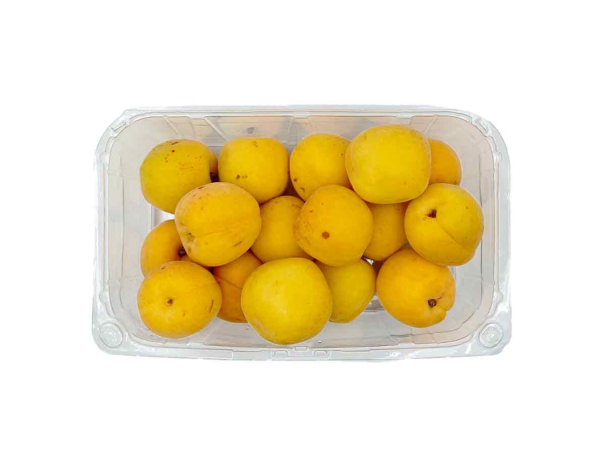 Organic Apricots 500g, South Africa